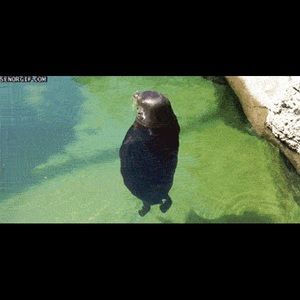 Meet your Posher, Nicholas