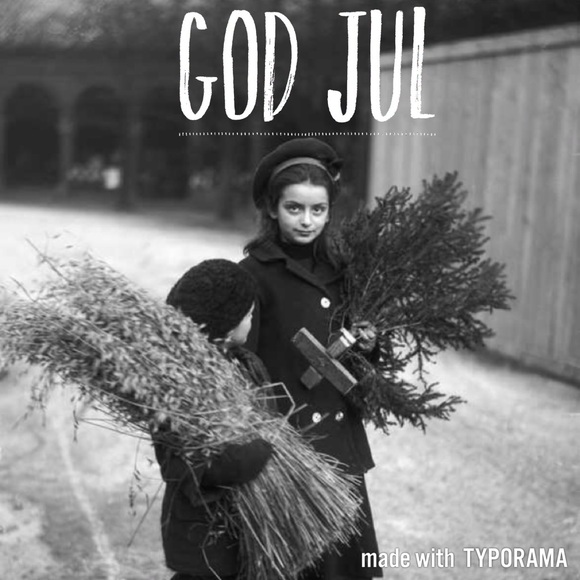 🌷 - Picture 6 of 8