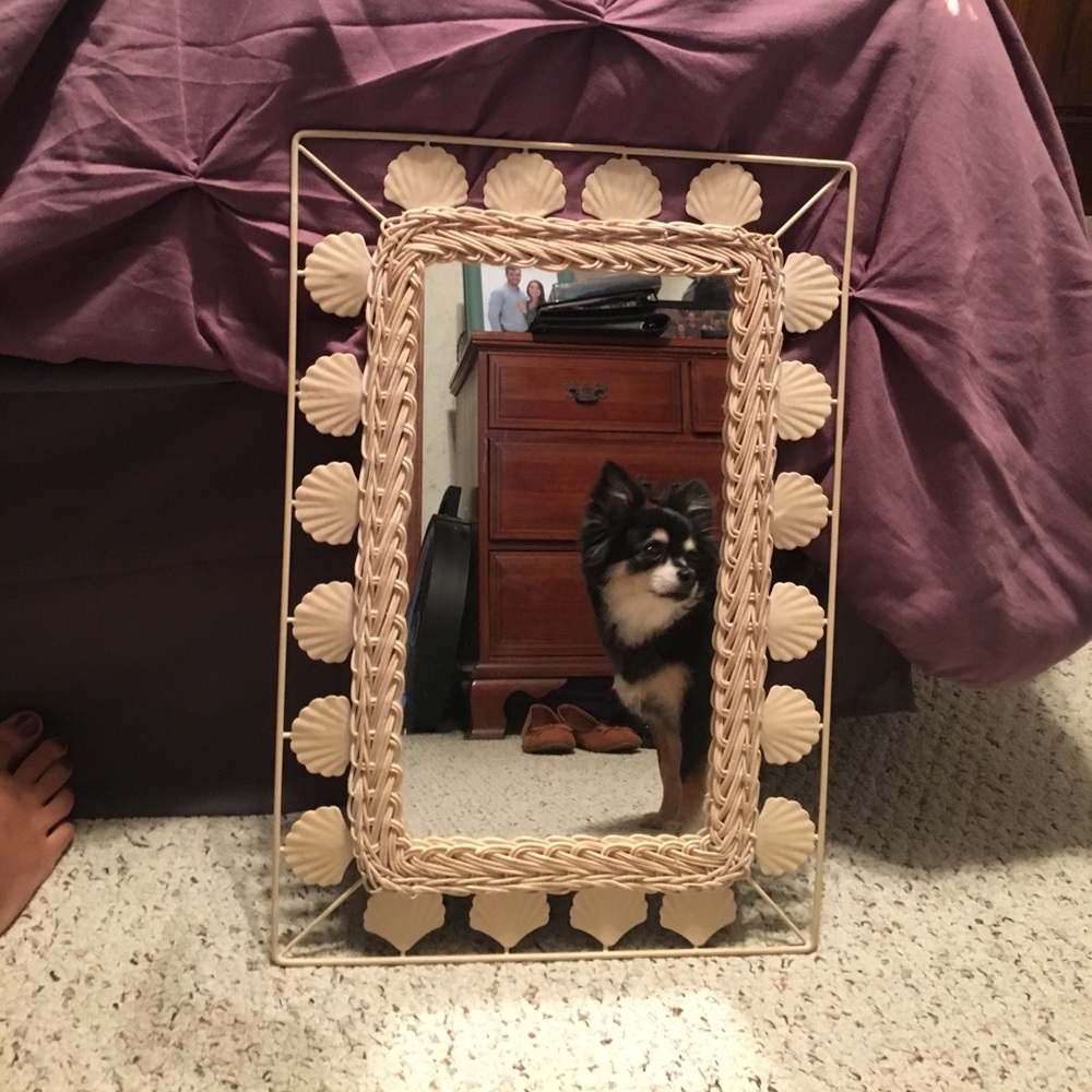 Seashell boarder mirror