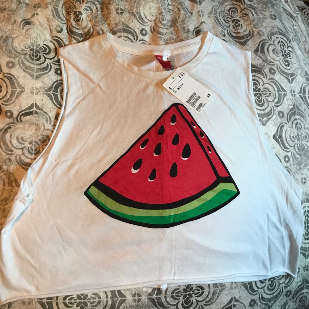 Watermelon Cropped Top