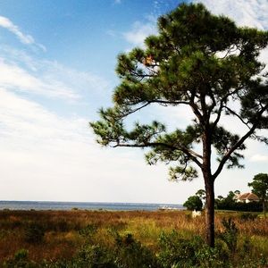 Meet your Posher, Derek