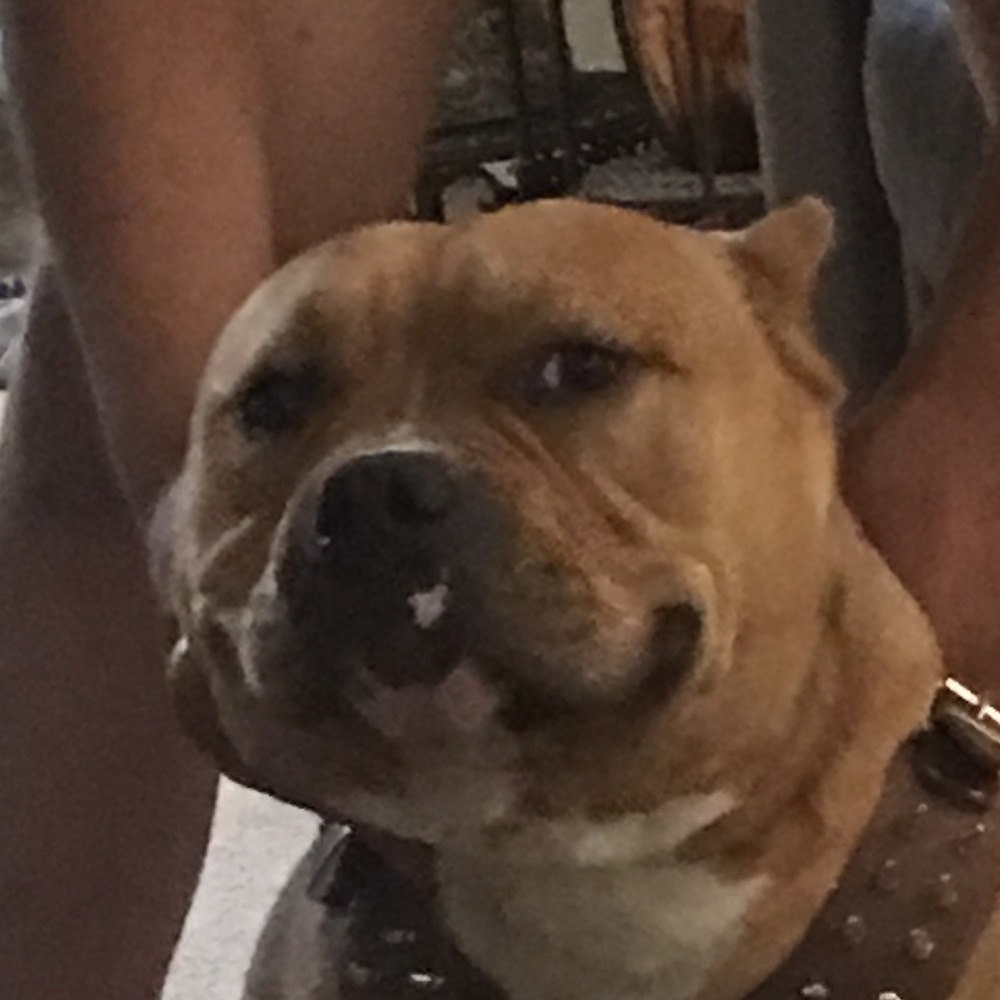 Meet your Posher, Yajahira