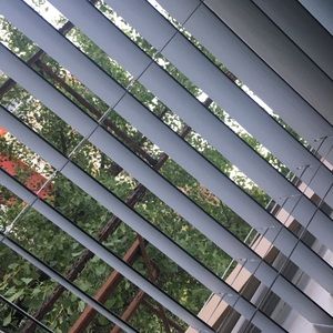 Meet your Posher, Teresa