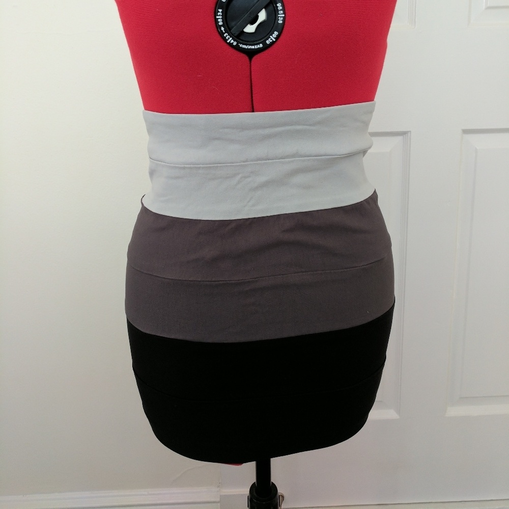 Fitted Silhouette Forever 21 Skirt