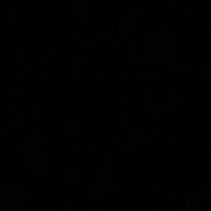 Meet your Posher, Debbiee