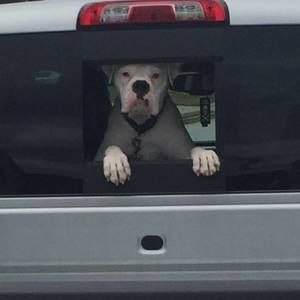 Meet your Posher, Ruth