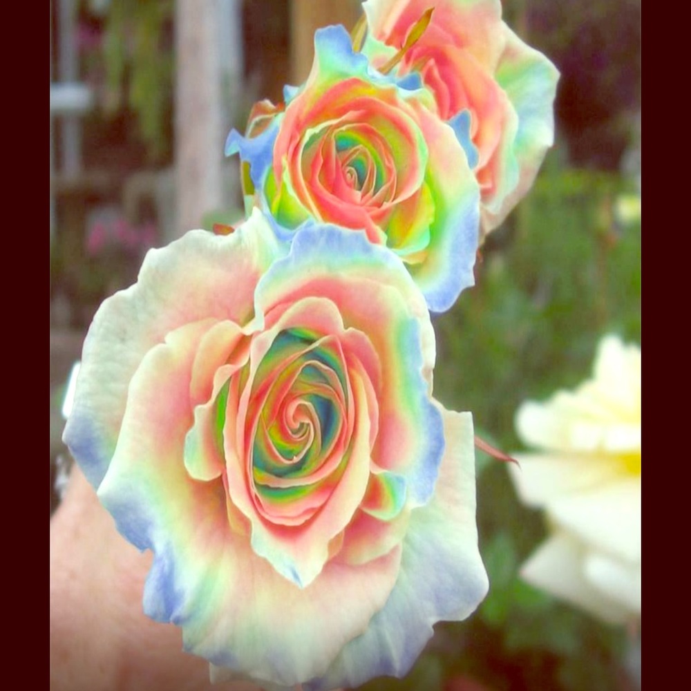 Notice I am moving please expect delays......