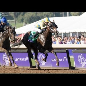 Meet your Posher, Hayden