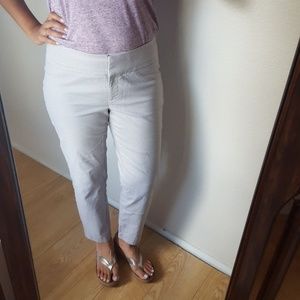 Ann Taylor Loft pant