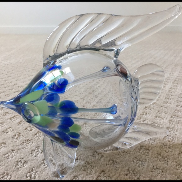 Glass Fish - Picture 2 of 7
