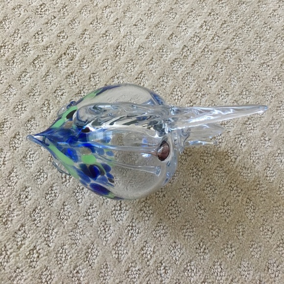 Glass Fish - Picture 4 of 7