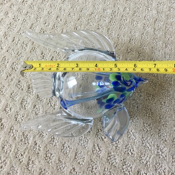 Glass Fish - Picture 5 of 7