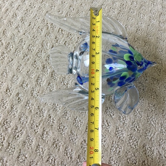 Glass Fish - Picture 6 of 7