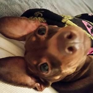 Meet your Posher, Kenny