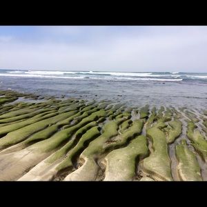 Meet your Posher, Gina