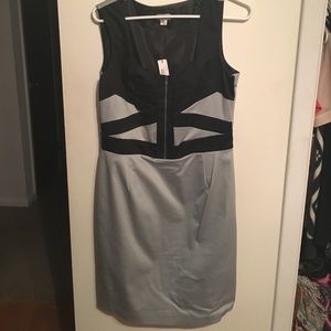 Gray and Black fitted dress