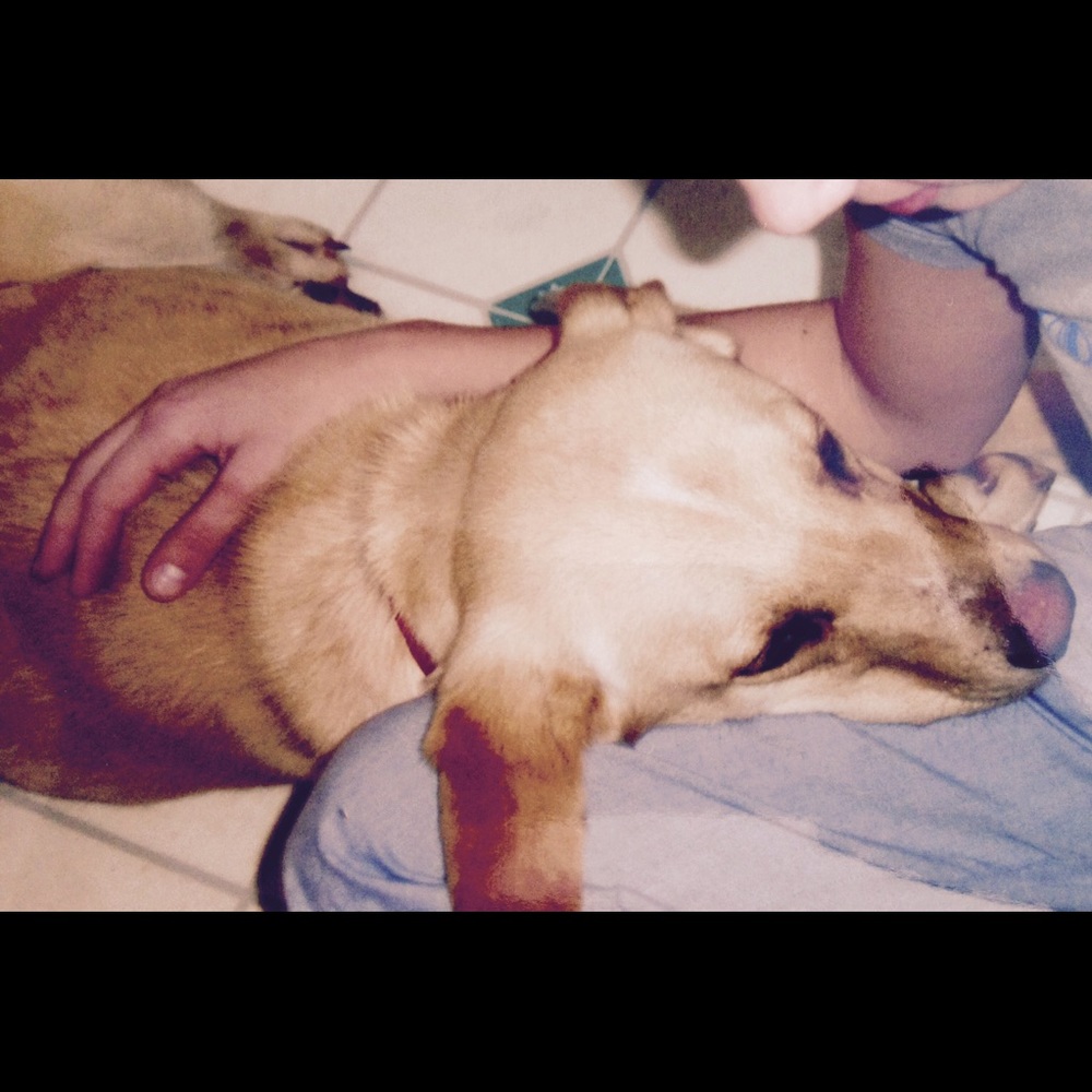 Meet your Posher, Krista