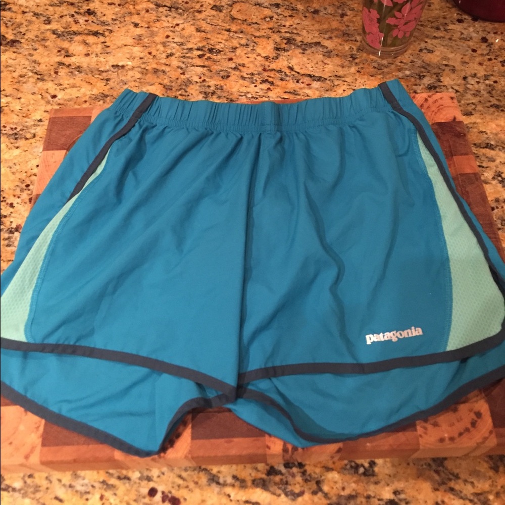 Patagonia Shorts