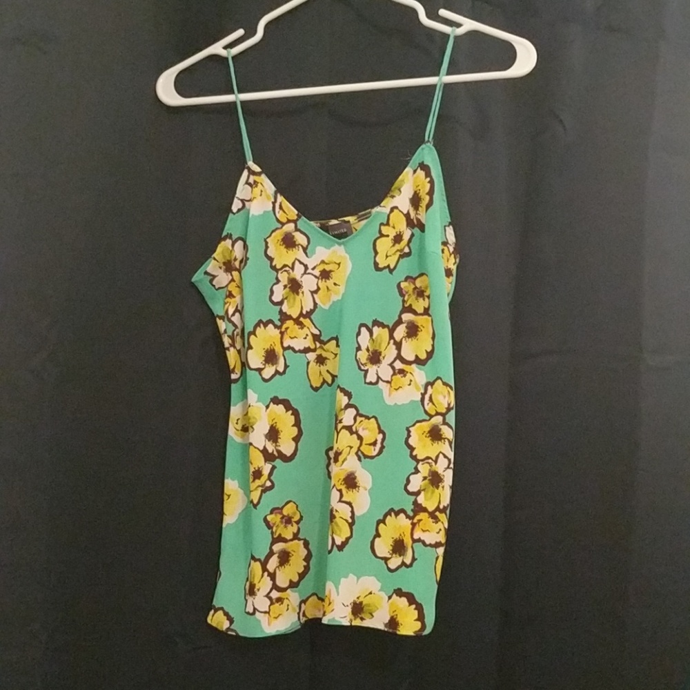 The Limited Top