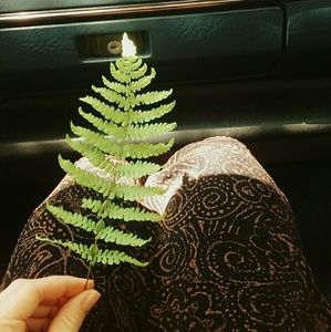 Meet your Posher, Alexa