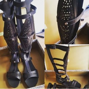 ABS by Allen Schwartz Felisa Gladiators