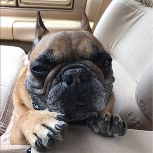 Meet your Posher, Steve