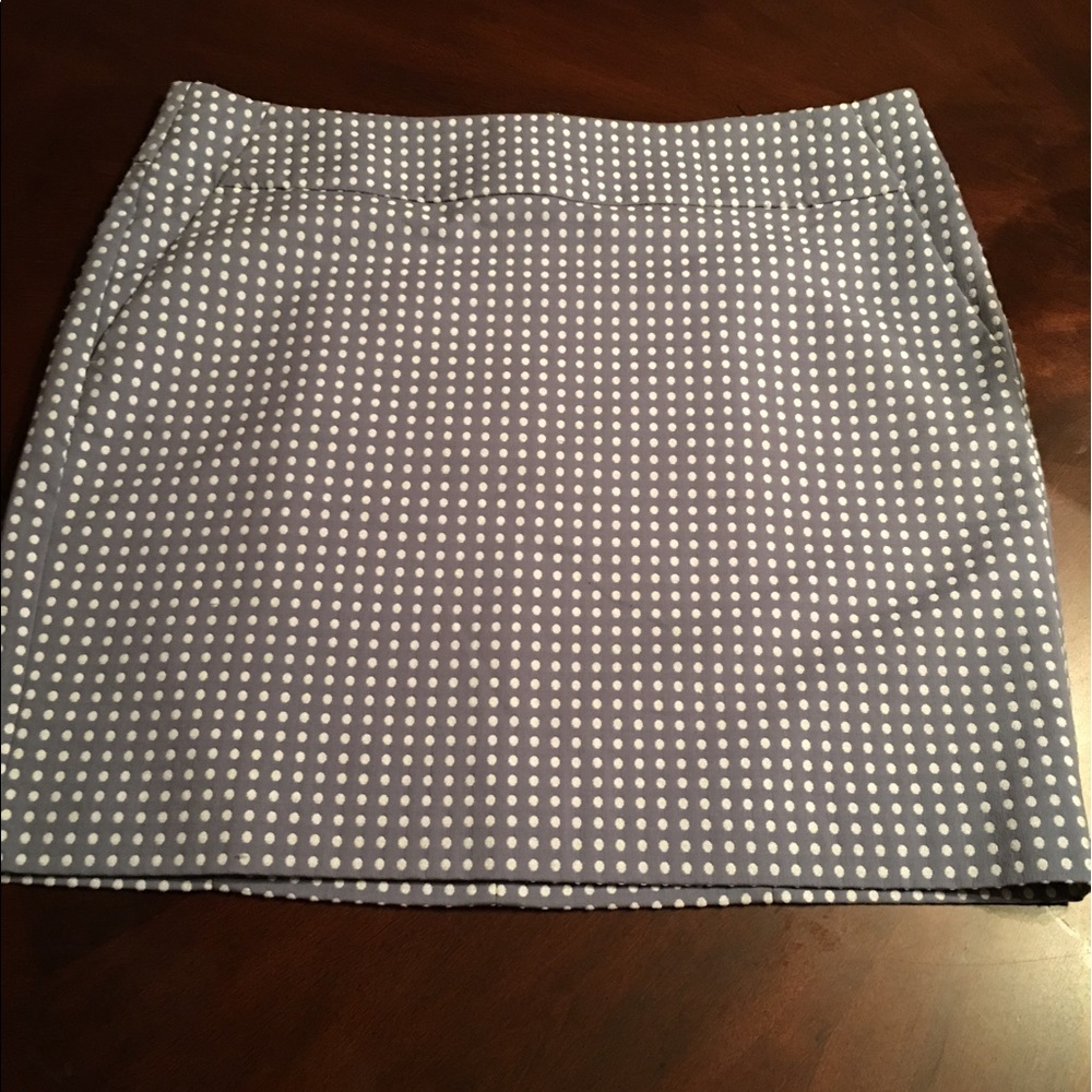 Ann Taylor Skirt