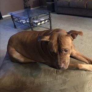 Meet your Posher, Alison