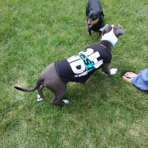 Meet your Posher, Thalia