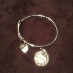 Silver Alex & Ani bracelet- Taurus