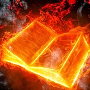 Meet your Posher, Nathan