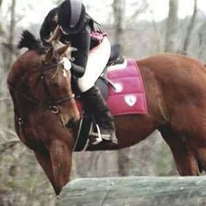 Meet your Posher, Amber