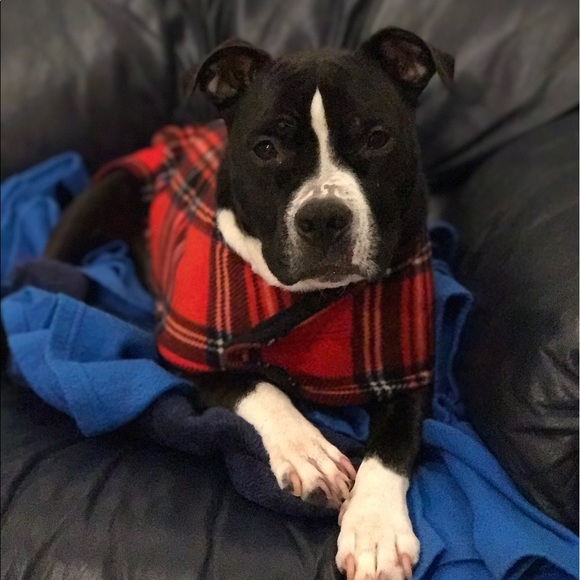 Meet your Posher, Marc - Picture 2 of 3