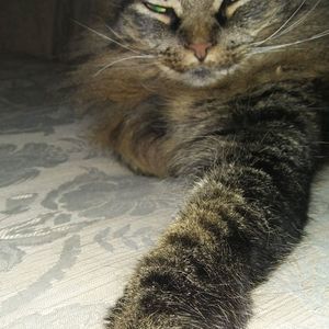 Meet your Posher, Samantha