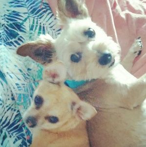 Meet your Posher, Karah