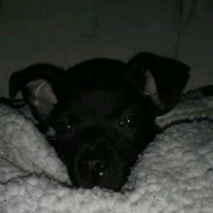 Meet your Posher, Alicia