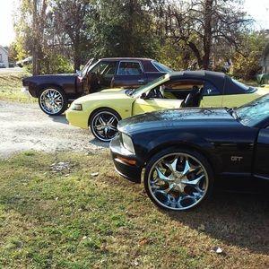 Meet your Posher, Dennis