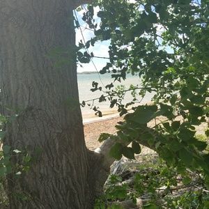 Meet your Posher, Carol