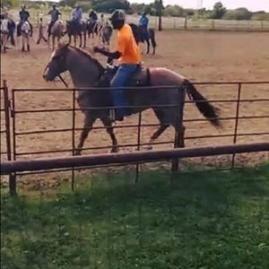 Meet your Posher, Duron