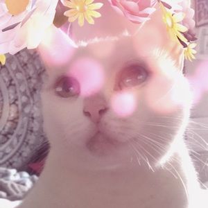 Meet your Posher, Erica