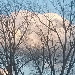 Meet your Posher, Flora