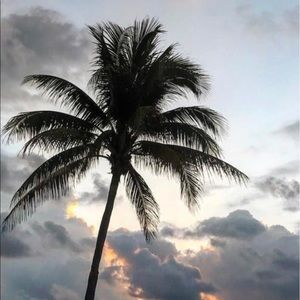 Meet your Posher, Albert