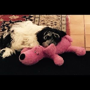 Meet your Posher, Kathy