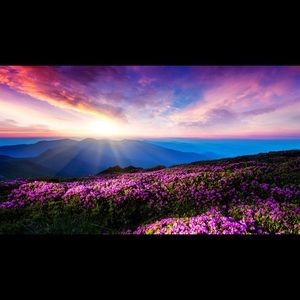 Meet your Posher, Daniela