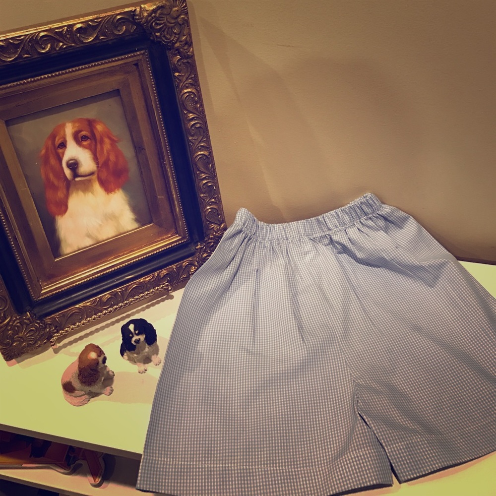 Boys blue and white checkered shorts dressy sz 4t
