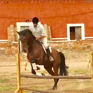 Meet your Posher, Mario