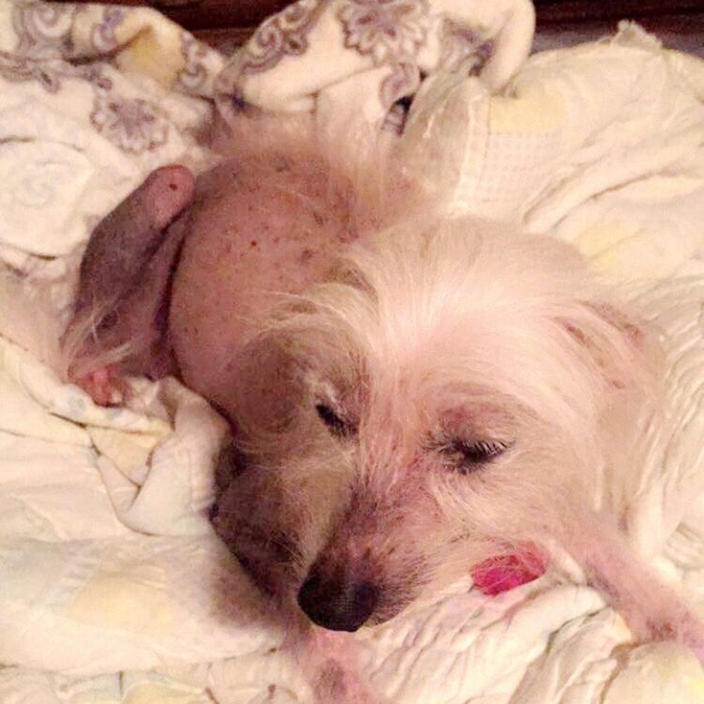 Meet your Posher, Marissa