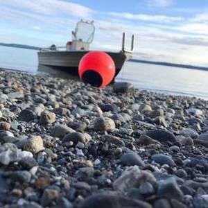 Meet your Posher, Frank