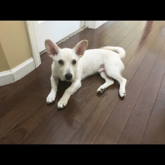 Meet your Posher, Brittney - Picture 1 of 1