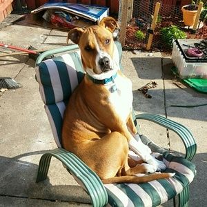 Meet your Posher, Mathew